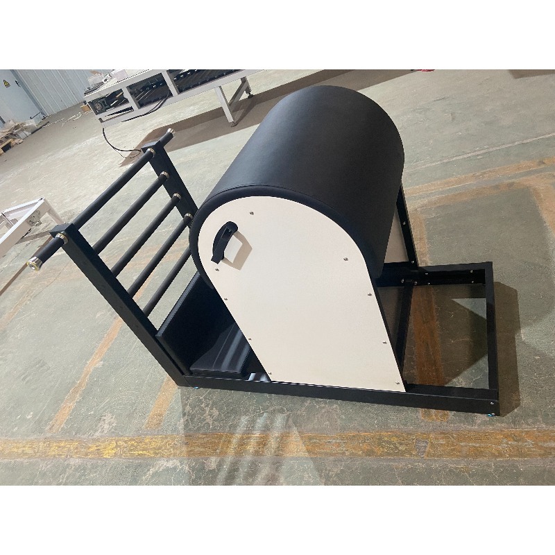 YTYIN Pilates Machine Ladder B - Pilates Yoga Machine 评论和价格