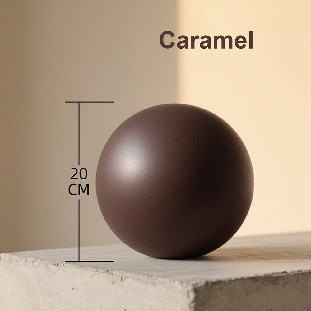 20cm Matte Exercise Ball Barre - Pilates Yoga And Barre 评论和价格
