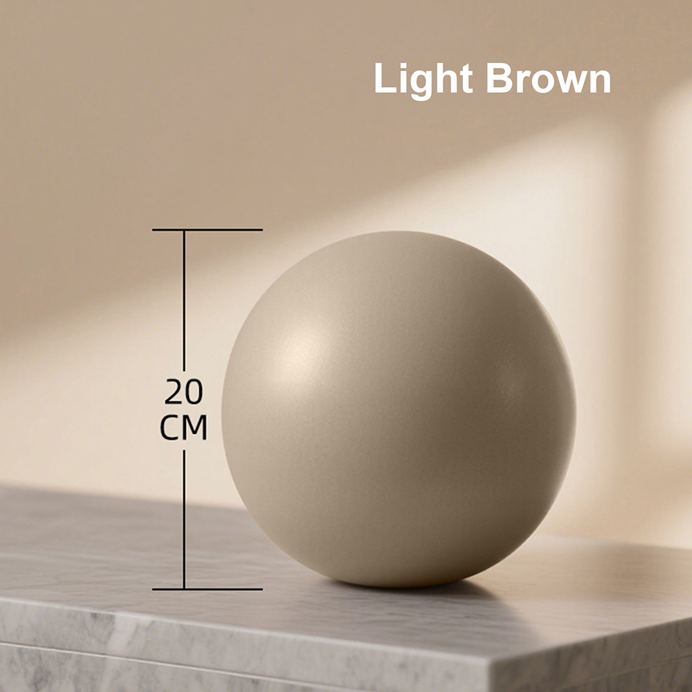 20cm Matte Exercise Ball Barre - Pilates Yoga And Barre 评论和价格