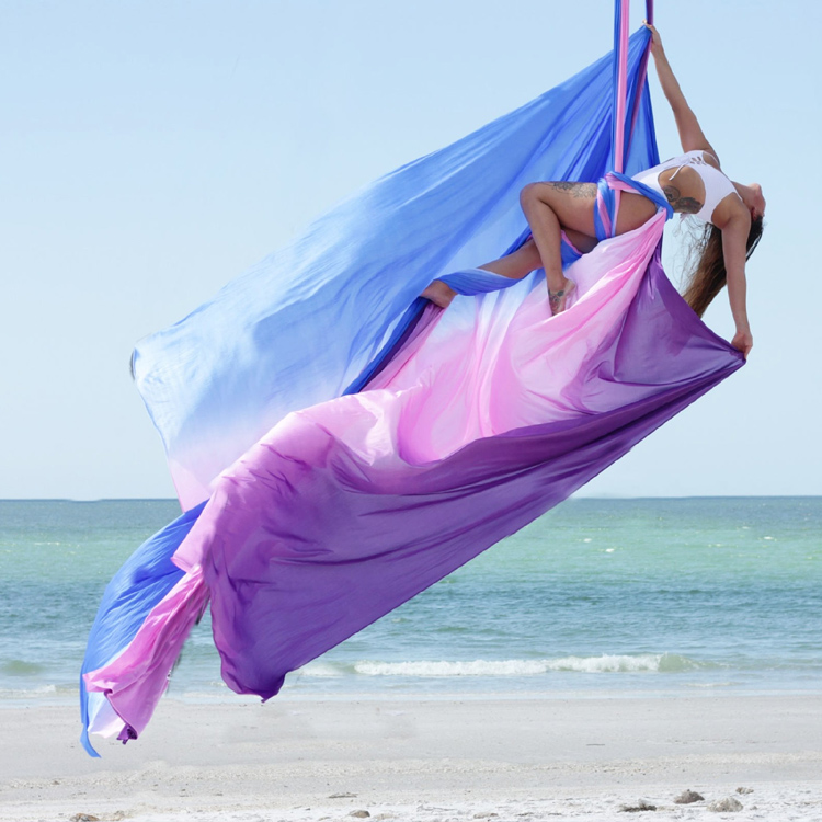 Aerial Yoga Swing, Durable Nyl - Pilates Yoga Home 评论和价格
